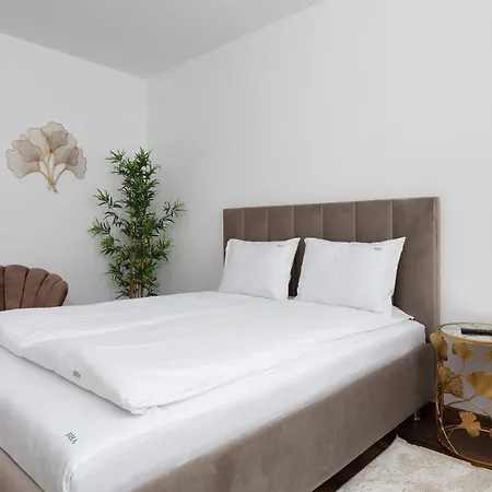 Brasov Holiday Apartments-3
