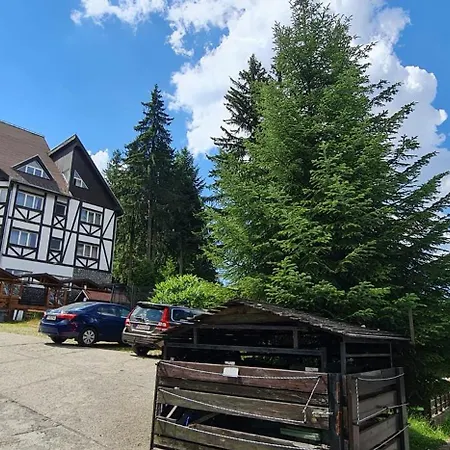 Vila Evergreen-2
