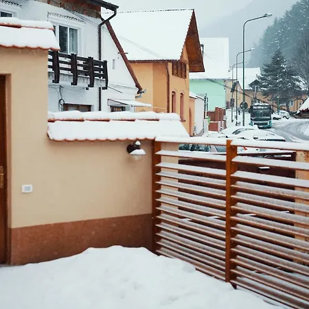 Cozy Apartment-2