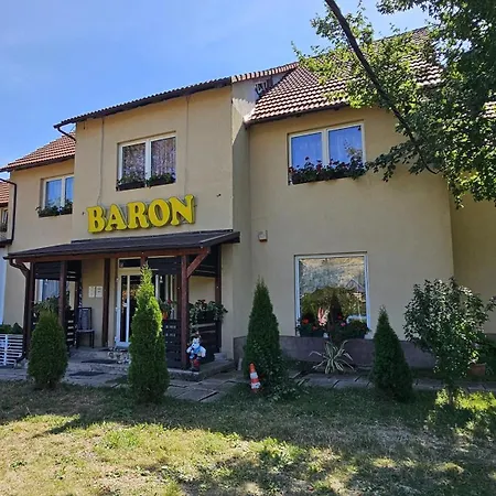 Pensiunea Baron Bazna-3