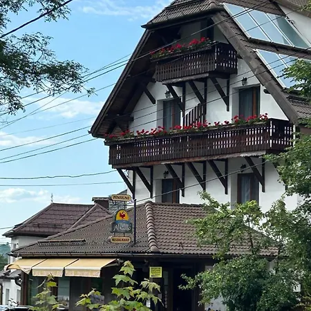 Pensiunea Restaurant Al Gallo-2