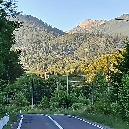 Pensiunea Dateș-3