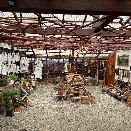 Casa Vlad-3