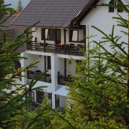Cetina-3