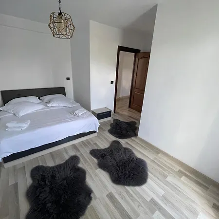 Casa Viorica-2