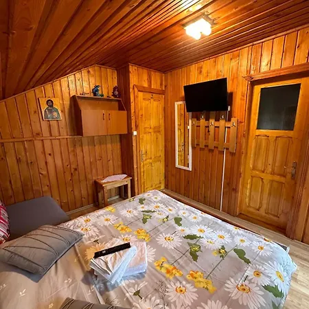 Casa de Vacanta Catrinel-2