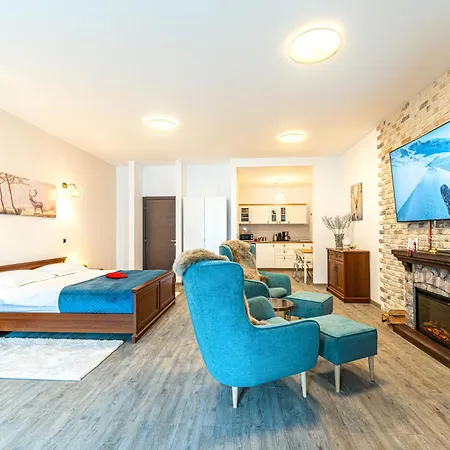 Joy Studio - Poiana Brasov - Silver Resort-2