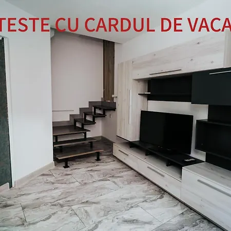 Apartment Attic-2