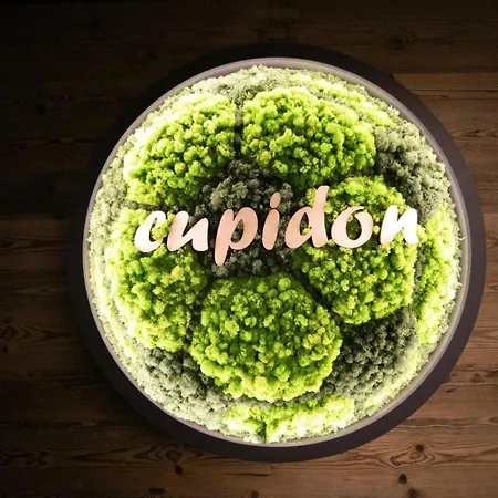 Pensiunea Cupidon-3