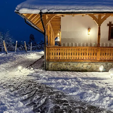 Casa Moroșanului Vișeu de Sus-3