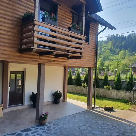 Pensiunea Casa Pancu-3