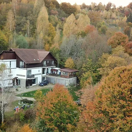 Pensiunea Glasul Padurii-2