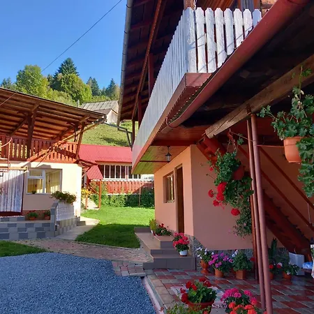 Pensiunea Daiana-3