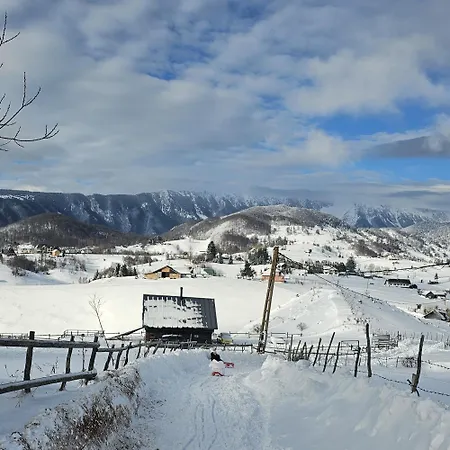 Ursa Mica Glamping Resort-3