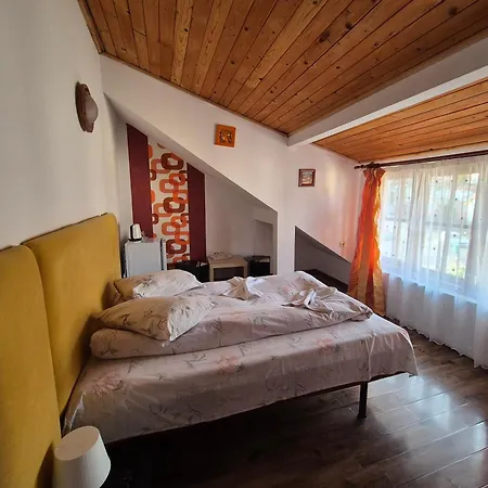 Pensiunea Liziera-2