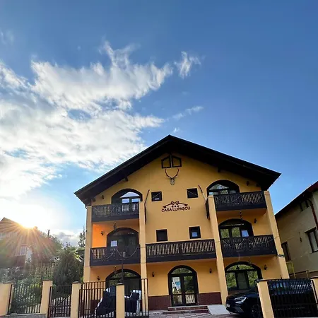 Casa Lupascu-3