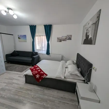 Cazare La Piatra Buhei-3