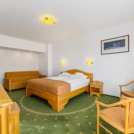 Hotel Casa Viorel Jacuzzi & Saunas-3