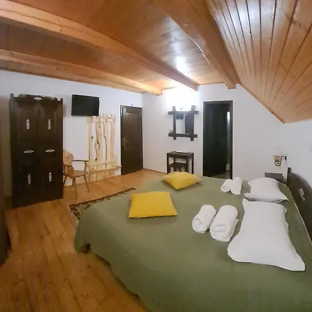 Pension Cabana Ionela-3