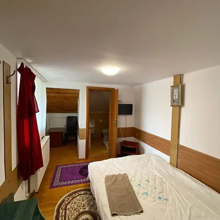 vila strugurelu hostel-2