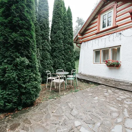 Vila Camelia-3