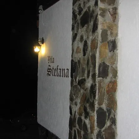 Vila Stefana Paltinis-2