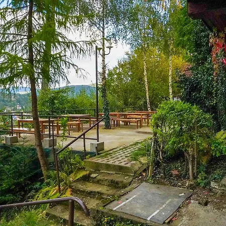 Pensiune turistica Milcov-VLADET-3