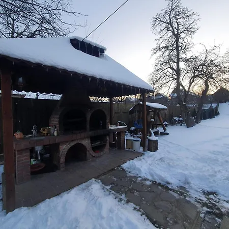 Pensiunea Leia Cârțișoara-2