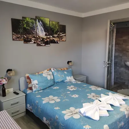 Kovacs Guesthouse-2