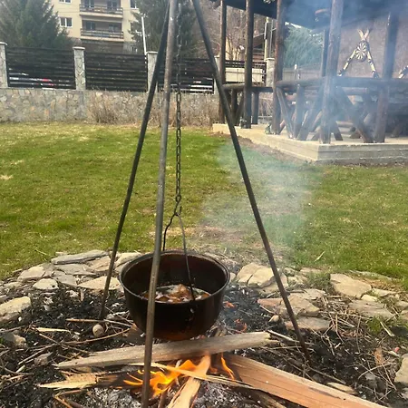 Chalet Azuga-2