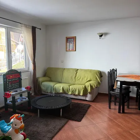 Casa Anastasia - Moieciu De Sus-3
