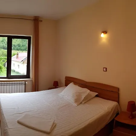 Pension Camelia-3