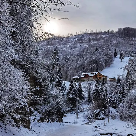 Pensiunea Valea Râsului-2