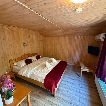 Pensiunea Valea Cetatii-2