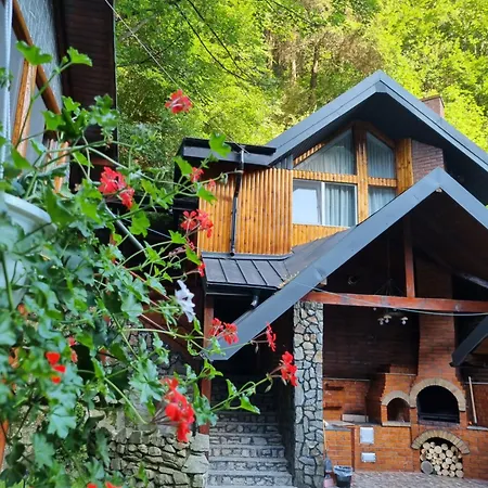 Căbănuța Cocoțată-2