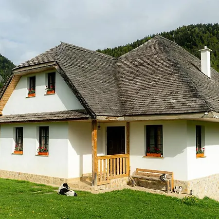 Pensiunea Hodăița-3