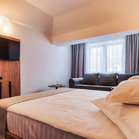 Hotel Domnitei-2