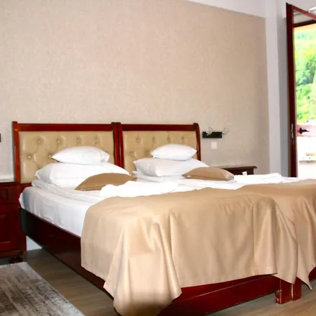 Hotel Nemira-2
