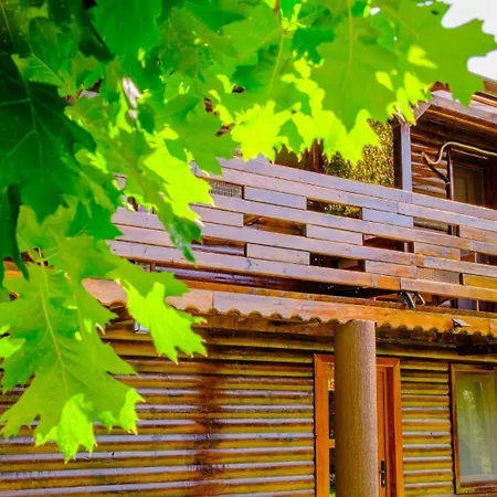 Casa Bunicii-2