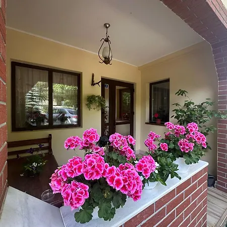 Pensiunea Casa Domniței Sucevița-3