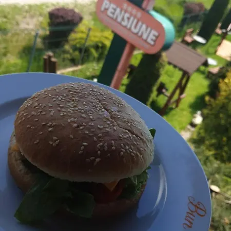 Pensiunea Bun'88-2