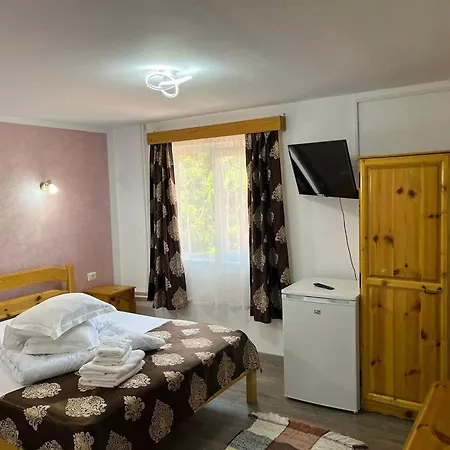 Pensiunea Cerbul-3