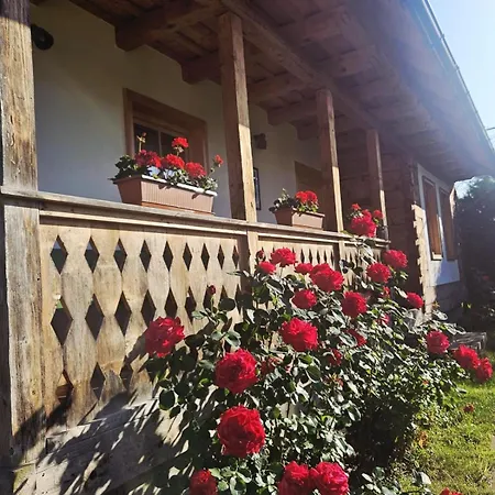Anahouse-2