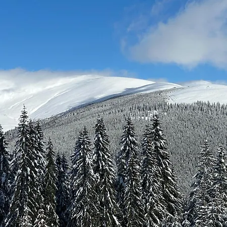 Complex Panoramic-2