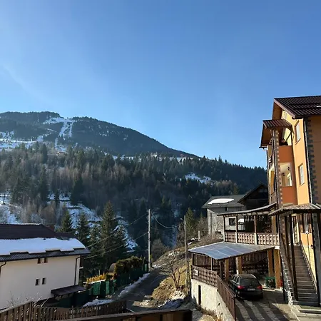 Pensiunea 3flori de Colț-3