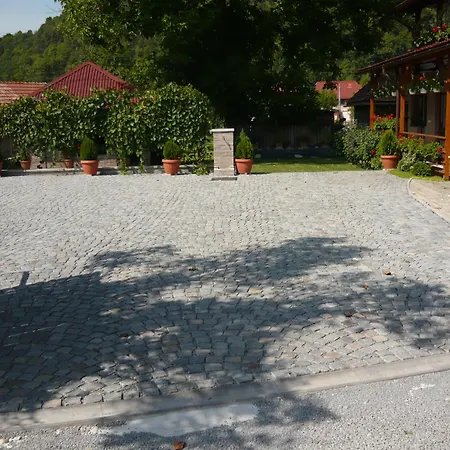 Casa De Oaspeti Liviu-3