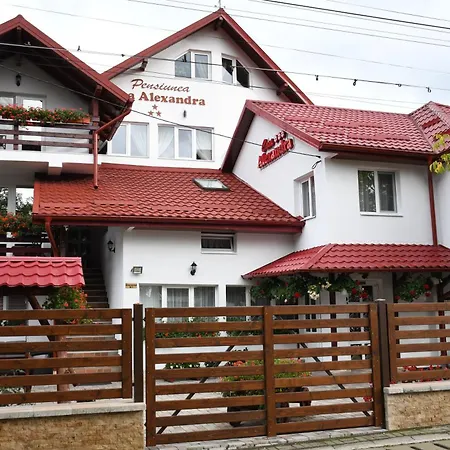 Pensiunea Casa Alexandra-3
