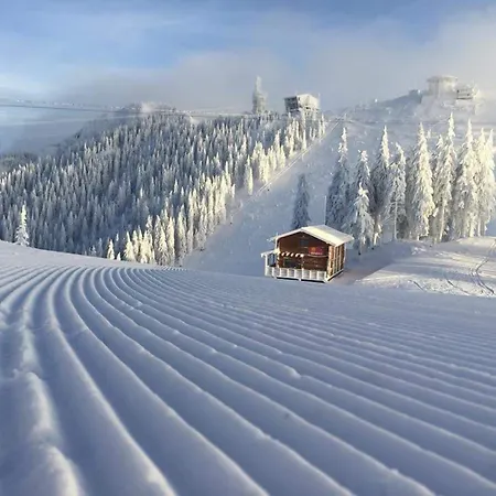 Traveland Boutique Resort Poiana Brasov-2