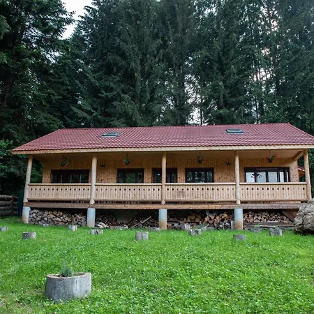 Forest Resort-2