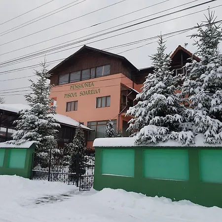 Pensiunea Agroturistică Piscul Soarelui-3